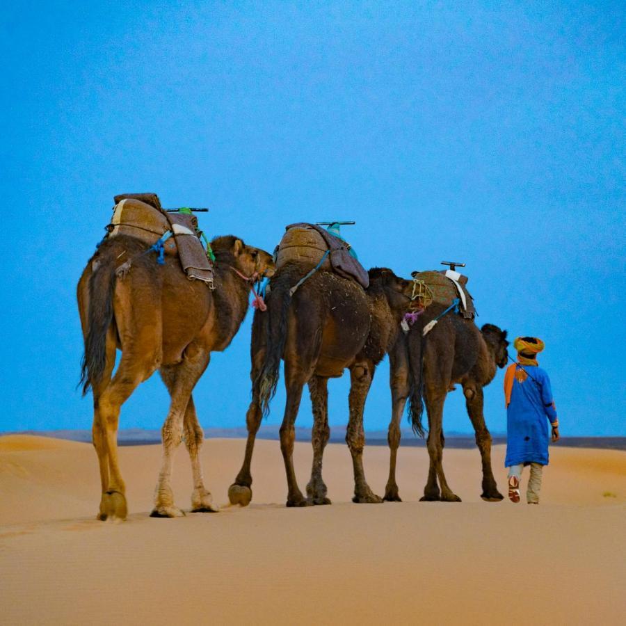 مرزوكة Authentic Desert Luxury Camp المظهر الخارجي الصورة